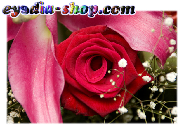 eyedia-shop Top Pic Gallery へ!